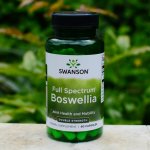 Swanson Boswellia Double Strenght 800 mg 60 kapslí – Hledejceny.cz