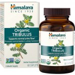 Himalaya Tribulus 60 kapslí – Hledejceny.cz