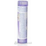 PHOSPHORUS POR 30CH GRA 1X4G – Hledejceny.cz