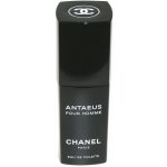 Chanel Antaeus toaletní voda pánská 100 ml – Hledejceny.cz