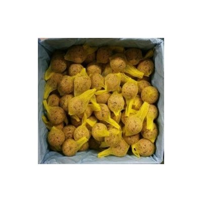 Juko Lojová koule L 6 cm 90 g bedna 100 ks – Zboží Dáma
