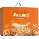 Paluani Colomba Classica bez kandovaného ovoce 1 kg – Sleviste.cz