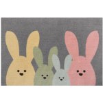 Hanse Home Printy 104452 Grey, Multicolor 40x60 cm šedá – Zboží Dáma