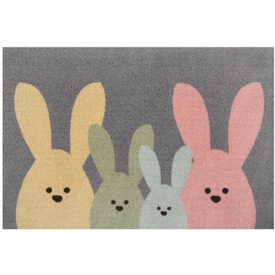 Hanse Home Printy 104452 Grey, Multicolor 40x60 cm šedá – Zboží Dáma