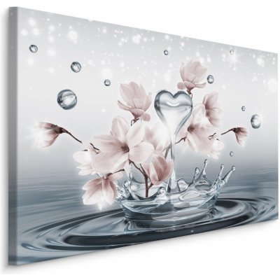 Plátno Květy Magnólie s 3D Kapkami Vody Varianta: 70x50 – Zboží Mobilmania