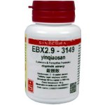 Sinecura EBX2.9 3149 60 tablet – Hledejceny.cz