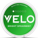 Velo Mini Simply Spearmint 4 mg Mini 20 sáčků – Sleviste.cz