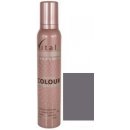 Vitale Exclusively barvící pěnové tužidlo Steel Grey ocelově šedá 200 ml