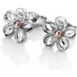 Hot Diamonds DE618 – Zbozi.Blesk.cz