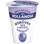 Hollandia Bez laktózy Krémový jogurt borůvka 180 g – Zboží Dáma