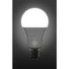 Žárovka Retlux RLL 407 A60 E27 bulb 12W CW