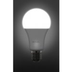 Retlux RLL 407 LED žárovka Classic 12W E27 studená bílá – Zboží Živě