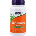 Now Foods Echinacea Třapatka 400 mg 100 rostlinných kapslí – Hledejceny.cz