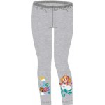 SpinMaster dívčí zateplené zimní legíny Tlapková patrola Paw Patrol Skye šedé – Zboží Dáma