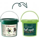 Leros Močové cesty Horse 900 g – Hledejceny.cz