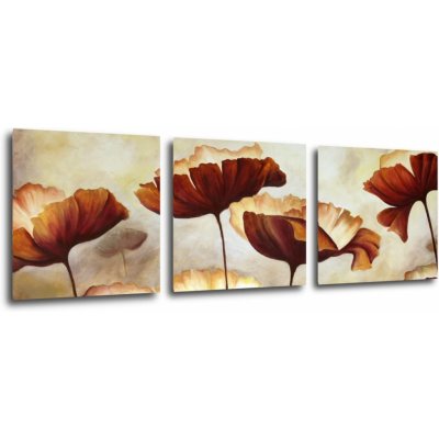 Impresi Obraz Malované květiny - 90 x 30 cm (3 dílný)