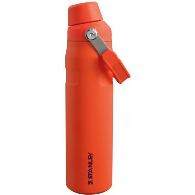 Stanley Vakuová termo láhev AeroLight IceFlow 0,6 l Tigerlily Plum – Hledejceny.cz