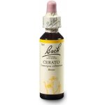 Bachovy květové esence kapky Cerato Rožec 20 ml – Hledejceny.cz