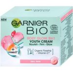 Garnier Bio Rosy Glow Šípkový olej a vitamín C 3v1 denní krém 50 ml – Zboží Mobilmania