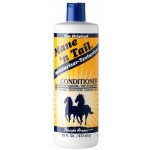 MANE 'N TAIL Conditioner 473 ml – Zboží Dáma