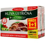 Terezia Company Hlíva ústřičná s lactobacily 120 tablet – Zboží Mobilmania