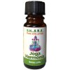 Vonný olej Slownatur Joga harmonie éterický olej 10 ml