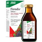 Salus Floradix Železo+ 250 ml – Hledejceny.cz