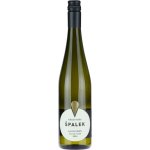 Špalek Sauvignon kabinet Kraví hora 2023 12% 0,75 l (holá láhev) – Hledejceny.cz