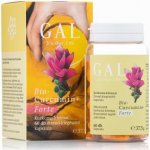Gal Biocurcumin Forte 300 mg x 60 kapslí – Hledejceny.cz