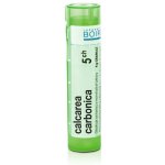 CALCAREA CARBONICA POR 5CH GRA 1X4G – Hledejceny.cz