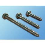 Vrut 6x30 Zn(hlava šestihran 10 mm) – Hledejceny.cz