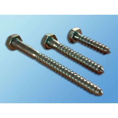 Vrut 6x30 Zn(hlava šestihran 10 mm) – Hledejceny.cz