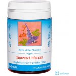 TCM Herbs Zrození Fénixe 009 prášek 30 g – Hledejceny.cz