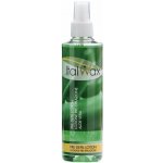 ItalWax preddepilačný sprej Aloe Vera 100 ml – Sleviste.cz