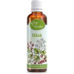 Serafin Hloh tinktura z bylin 50 ml – Hledejceny.cz