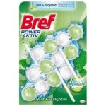 Bref Power Activ WC blok Mint Eucalyptus 3 x 50 g – Sleviste.cz