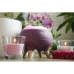 Concept DF1011 Aroma difuzér Perfect Air Berry 250 ml – Sleviste.cz