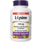 Webber Naturals L-Lysine 500 mg 60 kapslí – Hledejceny.cz