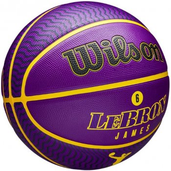Wilson NBA Player Icon LeBron James