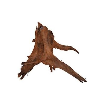 Macenauer kořen Amazonas Root XL 40-60 cm – Zboží Dáma
