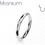 Šperky4U segment kruh helix cartilage tragus piercing titan TIT1144-1208 – Sleviste.cz