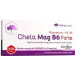 Olimp Labs Olimp Chela-Mag B6 Forte 60 kapslí – Hledejceny.cz