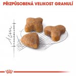 Royal Canin Sensible 400 g – Hledejceny.cz