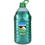 Vione tekuté mýdlo čiré zelené Jablko 5 l – Zboží Dáma