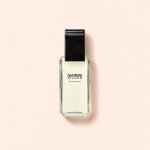 Antonio Puig Quorum Silver toaletní voda pánská 100 ml – Hledejceny.cz