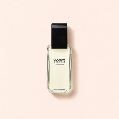 Antonio Puig Quorum Silver toaletní voda pánská 100 ml – Hledejceny.cz