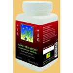 TCM Herbs Nápoj pěti hvězd z Gynostemmy pětilisté 100 g – Hledejceny.cz