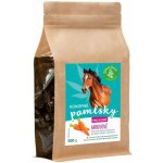 ZELENÁ ZEMĚ Konopné pamlsky pro koně příchuť mrkev 0,5 kg – Hledejceny.cz