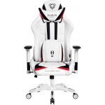 Diablo Chairs X-Ray XL bílá/černá – Hledejceny.cz