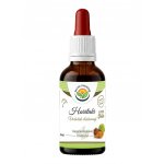 Salvia Paradise Haritaki AF tinktura 50 ml – Hledejceny.cz
